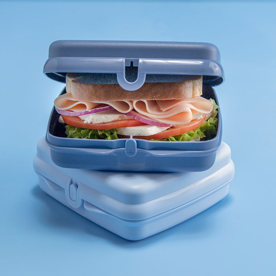 Sandwich Keepers Eco+ (en anglais)